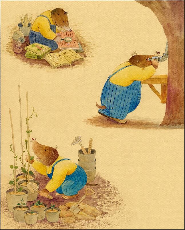 鼹鼠苏迪（图ZMTA5Njk3Mzgw） - 绘本 - 站酷设计师暖被儿原创素材 - 站酷ZCOOL