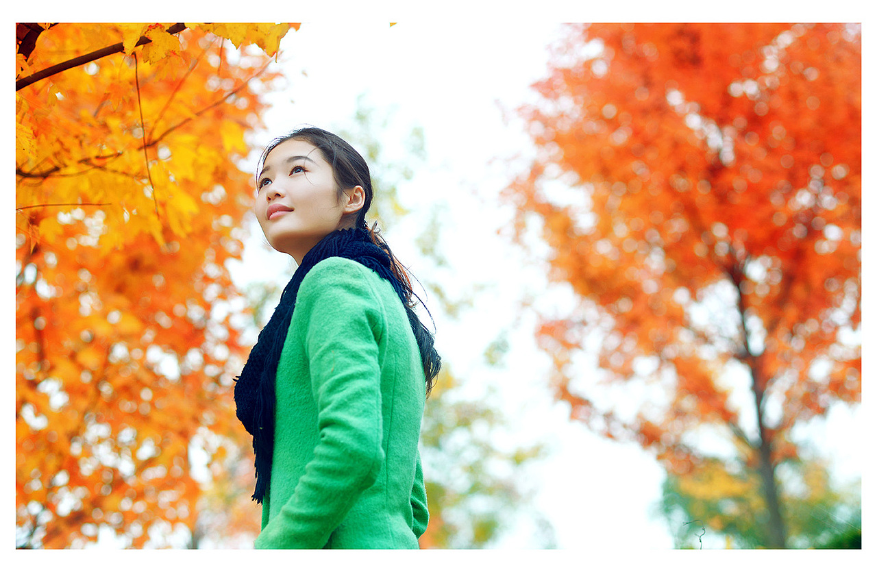 幺四的最后一片枫叶