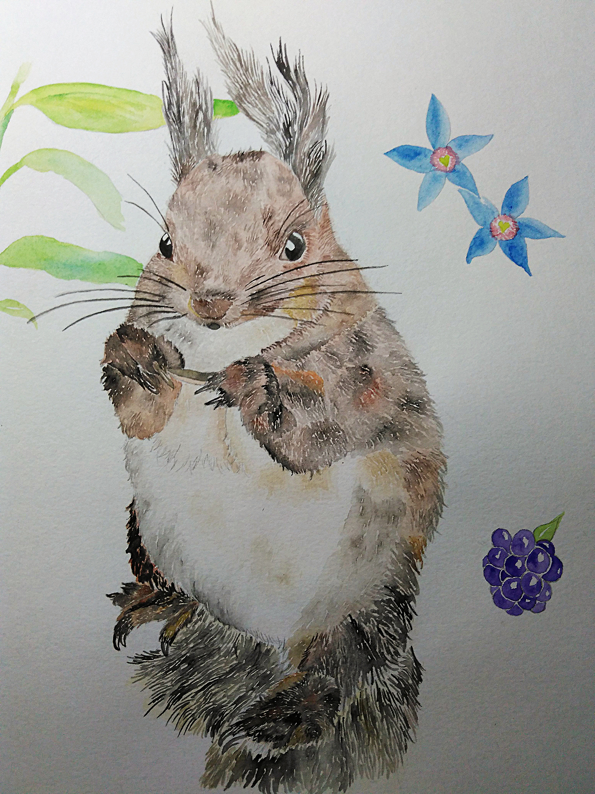 小宠物水彩绘画