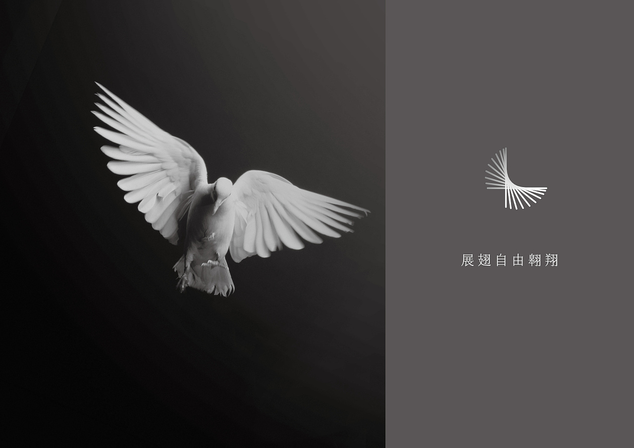 通联照明标志形象升级不忘初心逐光前行