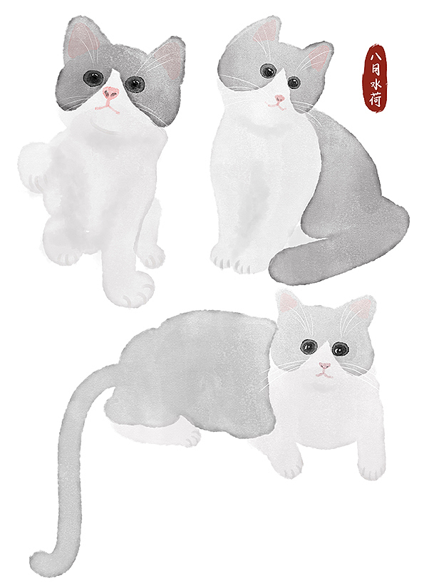 24只可爱到想咬一口的蓝白猫|插画|创作习作|八月水荷 - 原创作品