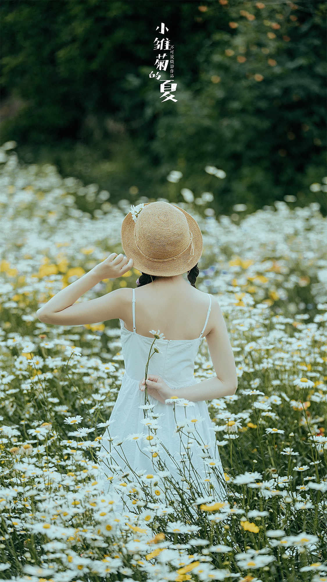 小雏菊的夏天（图ZMjEzNzU5MzQw） - 人像摄影 - 站酷设计师摄影师不可说原创素材 - 站酷ZCOOL