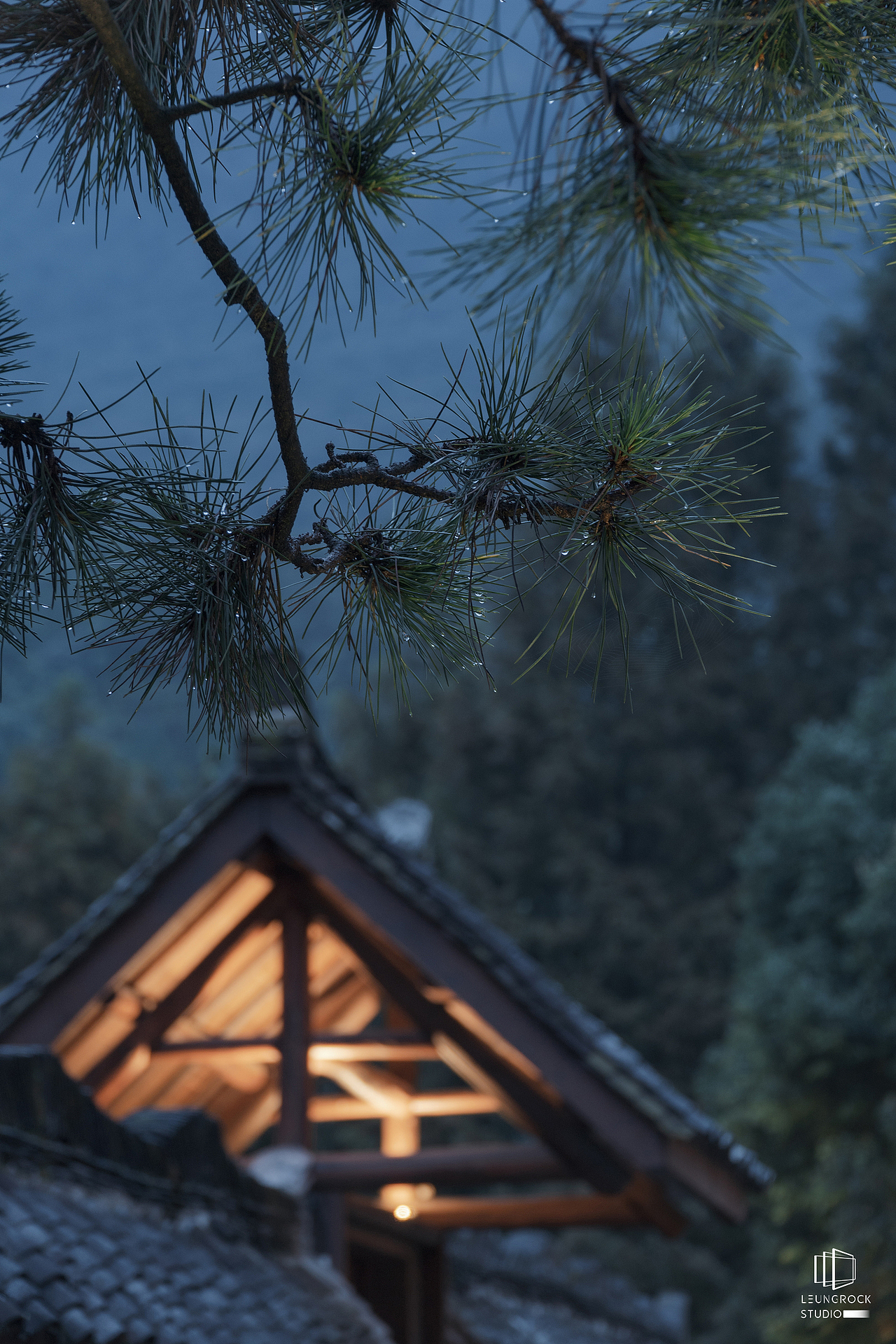 行到水穷处,坐看云起时