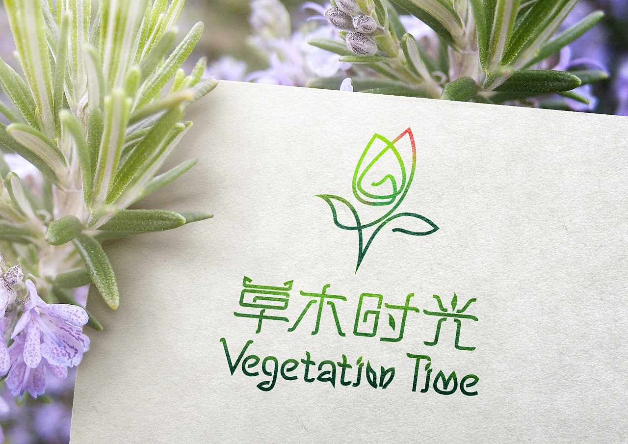 草木时光logo 提案1