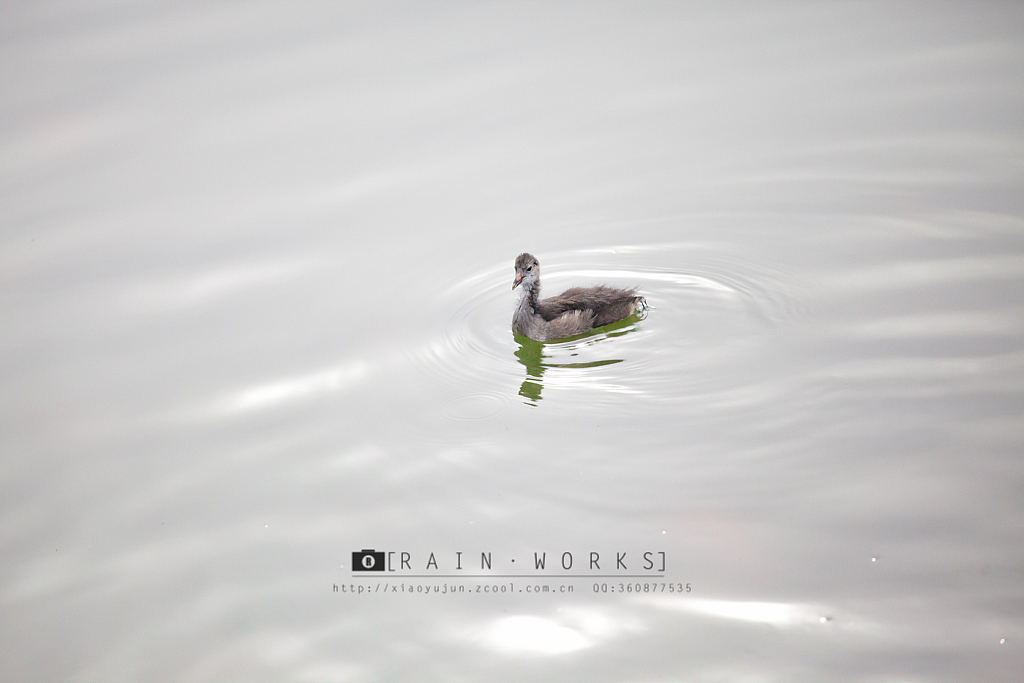 20140914纯粹与静谧之间