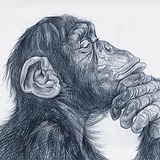 Monkey0ne的头像
