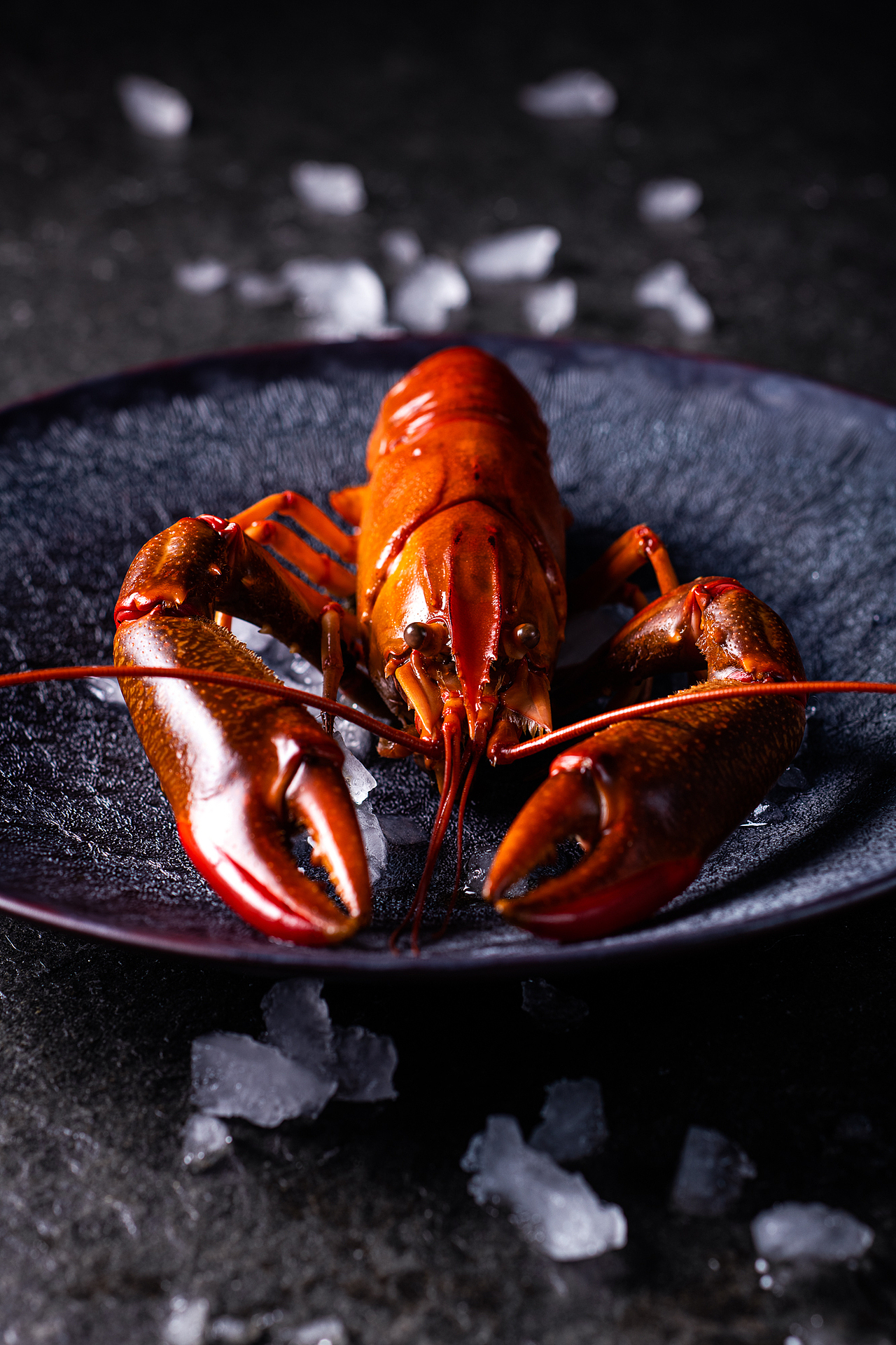 菁禧荟（图ZMjE0OTQzODY4） - 产品摄影 - 站酷设计师五行缺肉海鲜天敌原创素材 - 站酷ZCOOL