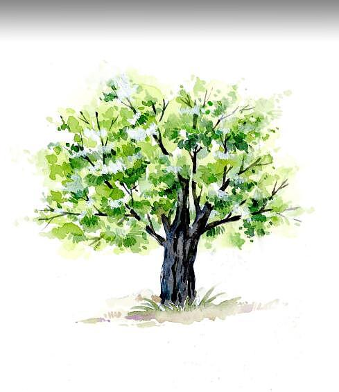 古风素材（图ZMTQ3ODAwMDQw） - 商业插画 - 站酷设计师鸿飛插画原创素材 - 站酷ZCOOL