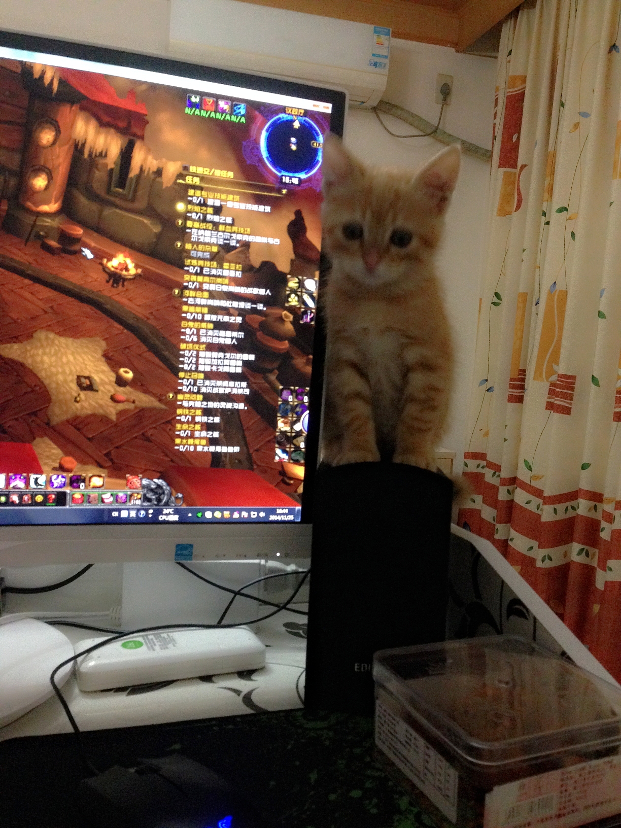 晒猫这种事必须参一脚（2）（图ZMjU1NDcxNDA=） - 宠物摄影 - 站酷设计师Lieles莘原创素材 - 站酷ZCOOL