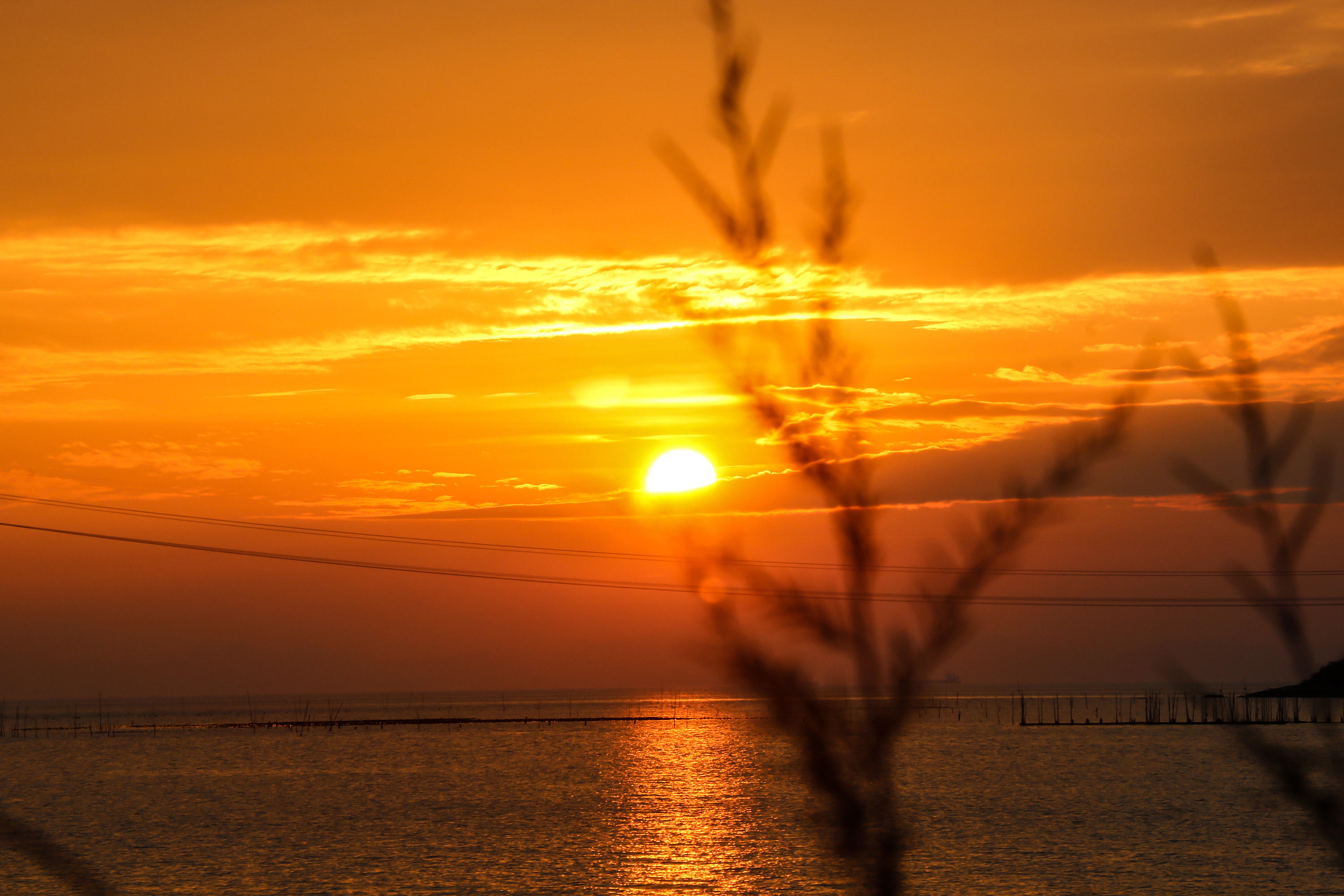 海边夕阳背景图片素材-正版创意图片500733904-摄图网