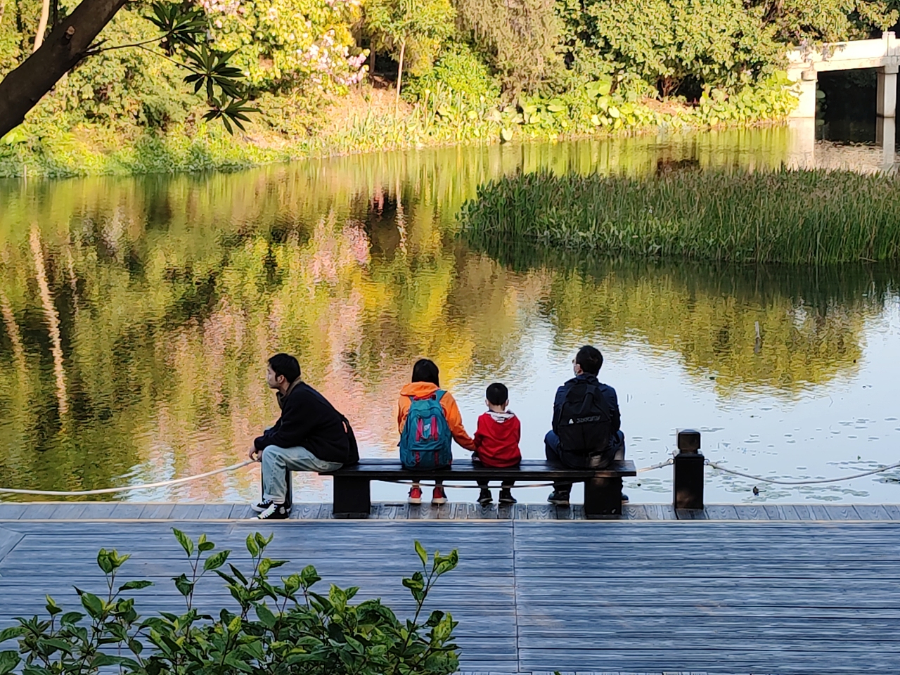 分享一组来自小米10至尊纪念版拍摄的照片