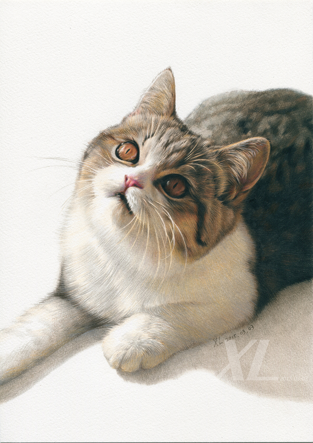 彩铅画－这里有50只喵星人（图ZNDkxOTkyMDA=） - 绘画 - 站酷设计师祥雷原创素材 - 站酷ZCOOL