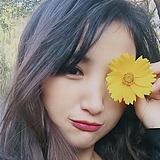 zpping123的头像
