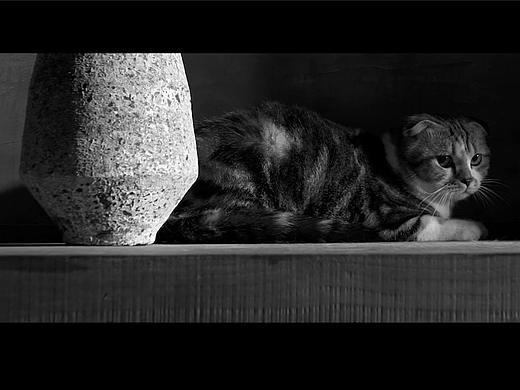 澳格影视 | 地产宣传片——海境界