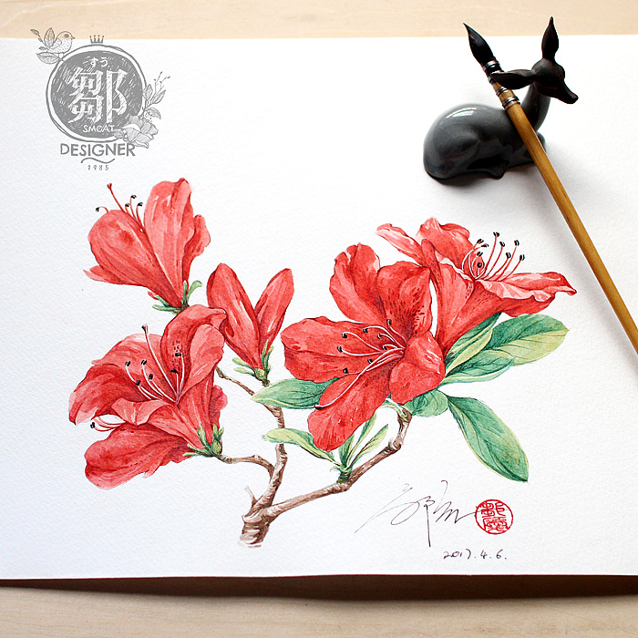 杜鹃花系列——映山红 - 原创作品 - 站酷(zcool)