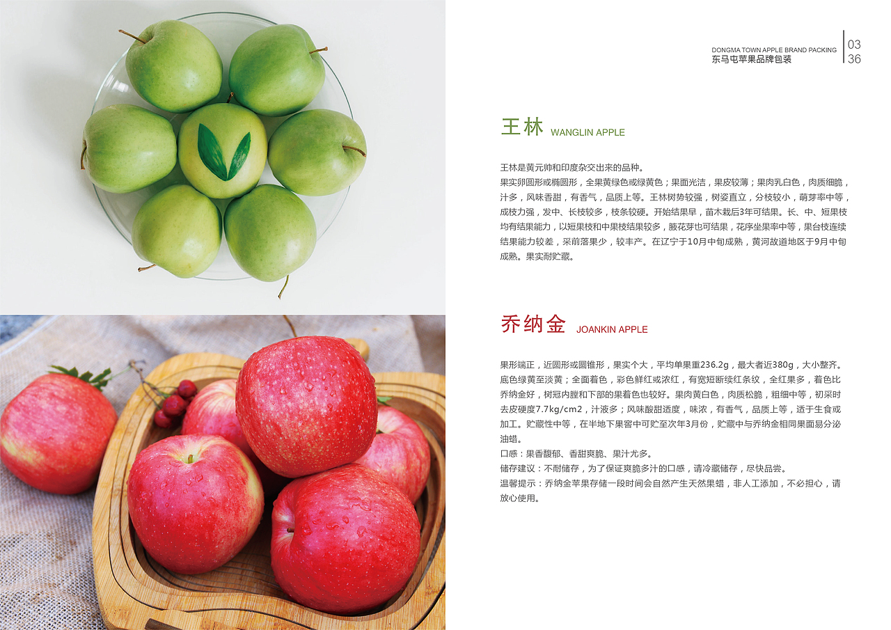 毕业手册（图ZMTY4OTgwMDU2） - 书籍/画册 - 站酷设计师zln张丽娜原创素材 - 站酷ZCOOL