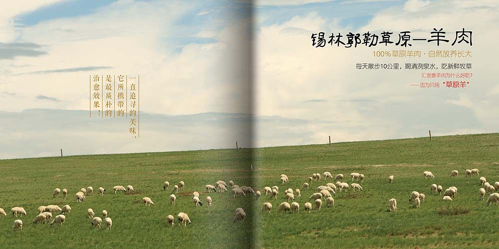 西北美食菜单（图ZOTYwOTc0NDg=） - 书籍/画册 - 站酷设计师胤情翔原创素材 - 站酷ZCOOL