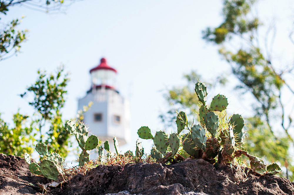 2014.12.28-2015.01.03 北海碧蓝