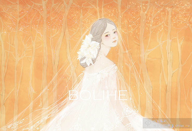 婚纱系列（图ZMjQ1MTMyNDA=） - 商业插画 - 站酷设计师玻璃盒BOLIHE原创素材 - 站酷ZCOOL