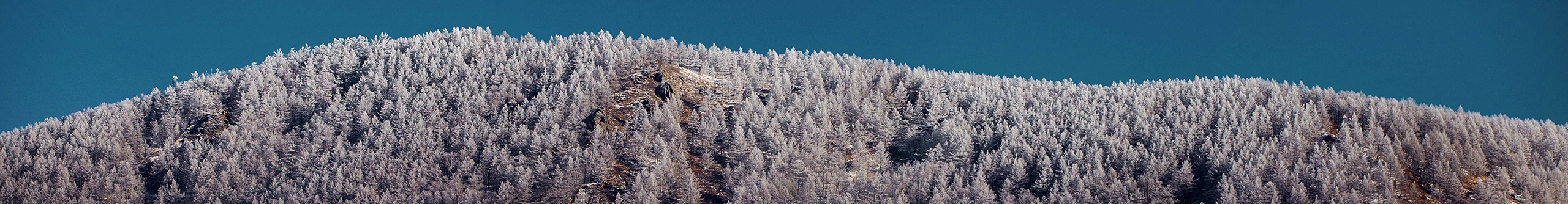 摄影师吴飘的个人主页（封面预览） - 主页封面设置 - 站酷设计师摄影师吴飘原创素材 - 站酷ZCOOL