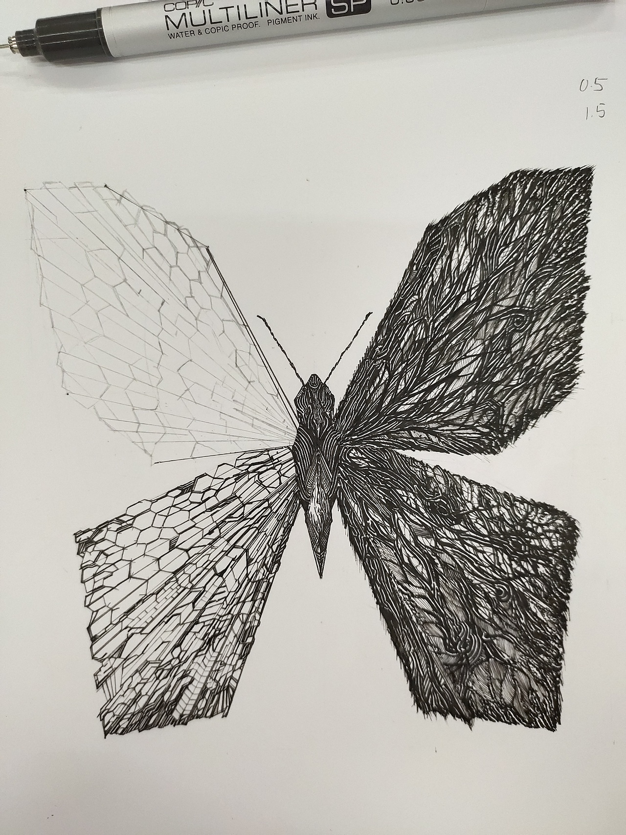 原创黑白装饰画手绘 世界之蝶：埃森丝（图ZMjU5NjczMDA0） - 绘画 - 站酷设计师MCLong2000原创素材 - 站酷ZCOOL