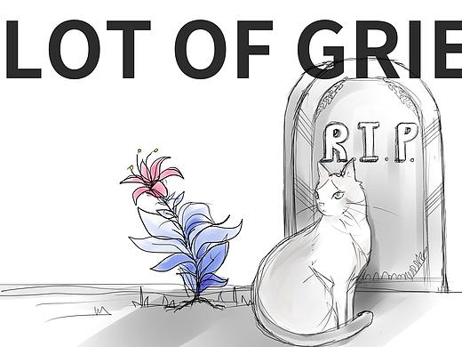 I would like to remember that loved one.