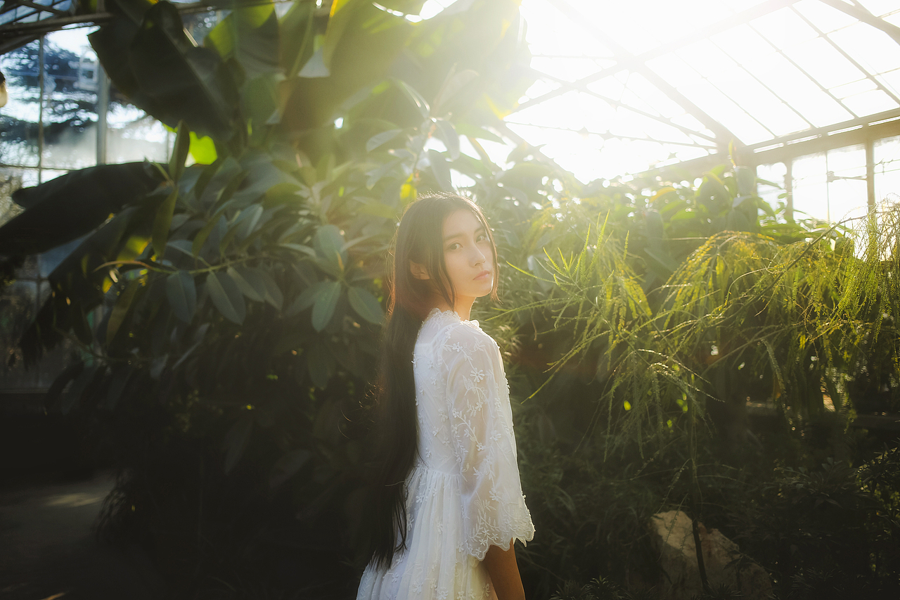 白茶清欢无别事,我在等风也等你。