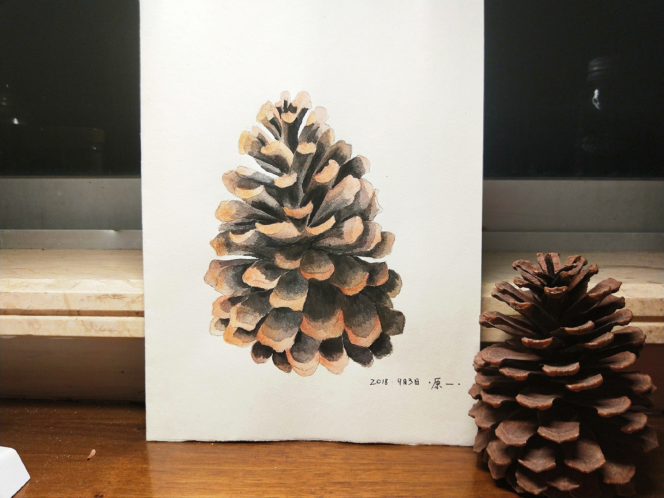 松果|插画|插画习作|原原一 - 原创作品 - 站酷 (zcool)