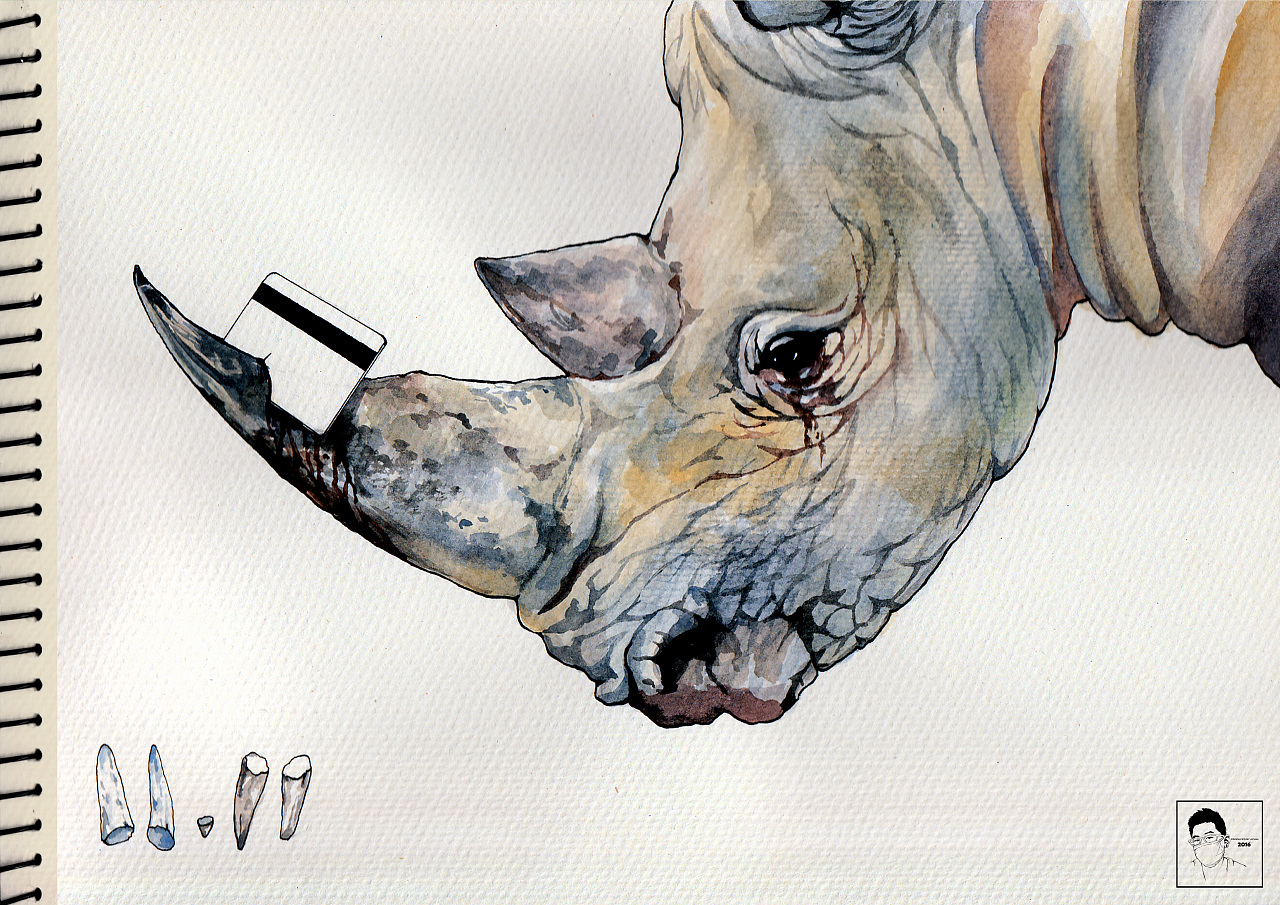 大头小犀牛|插画|概念设定|巴哥阿怪 - 原创作品 - 站酷 (ZCOOL)