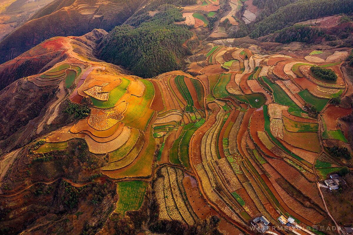 每逢佳节胖三斤（图ZMTQ0MDUyNzA4） - 产品摄影 - 站酷设计师西瓜ADA原创素材 - 站酷ZCOOL