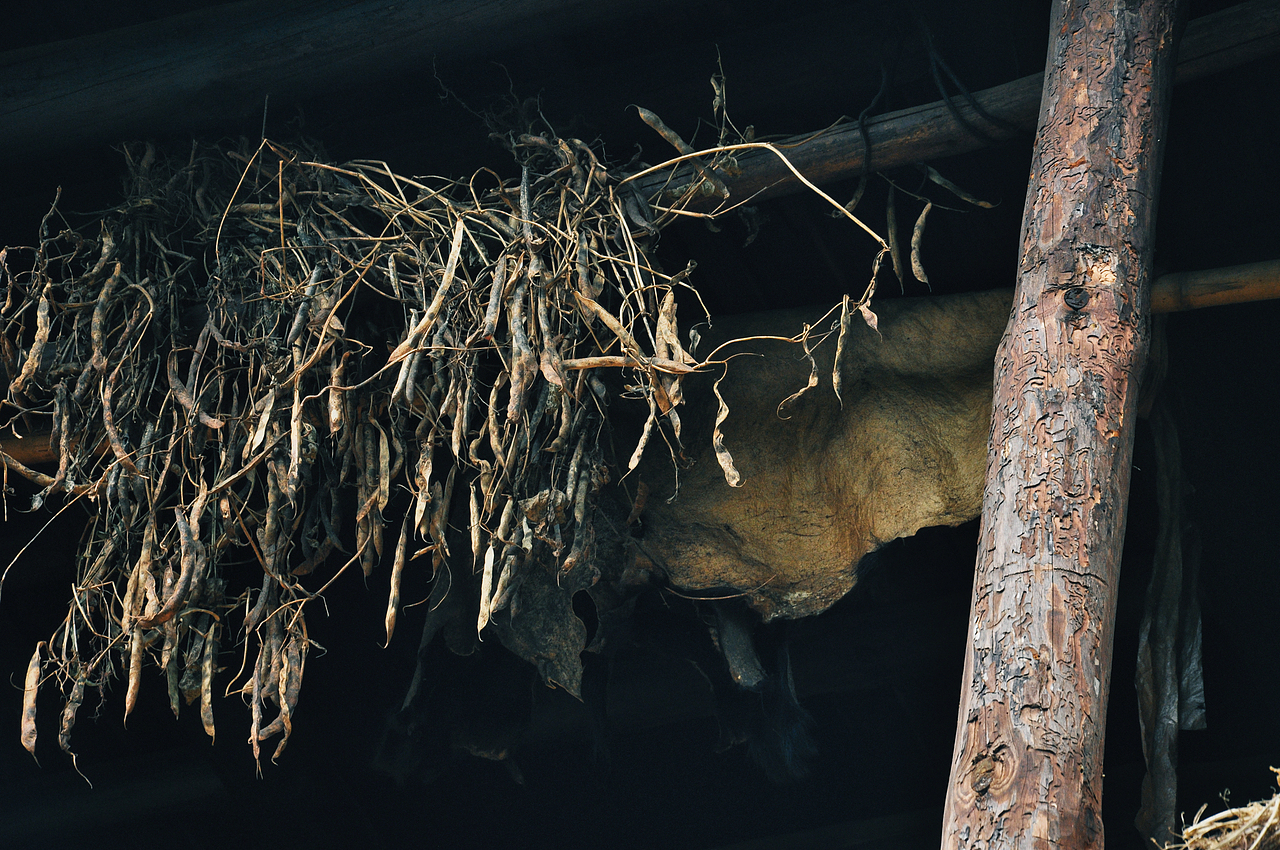 2013年国庆回家村子里（一）（图ZMzU2ODEzOTQw） - 人文/纪实摄影 - 站酷设计师焦虑到掉头发原创素材 - 站酷ZCOOL