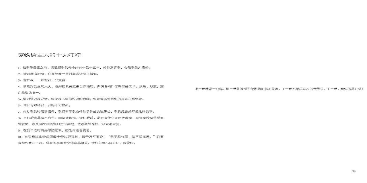 课程作业:被洗脑的猫