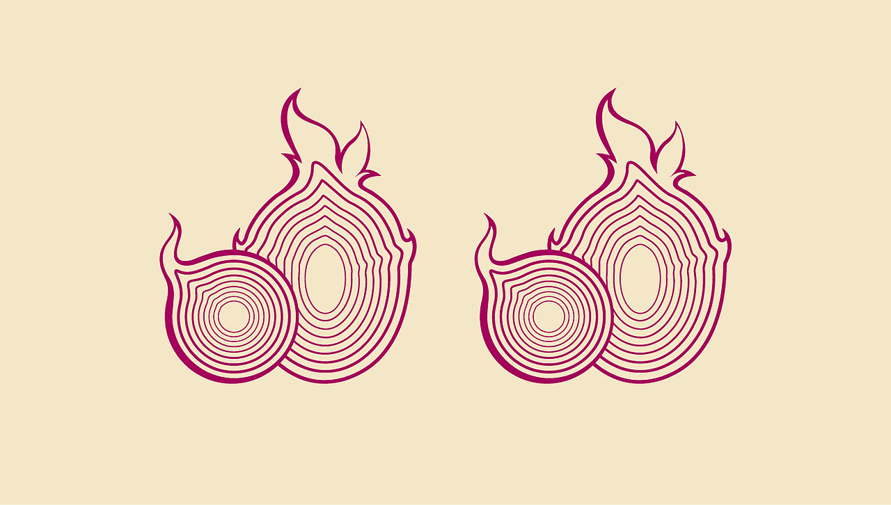 农产品创意向阳果园火龙果品牌设计