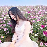 SWR柔123的头像