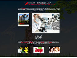 益生菌静态网页