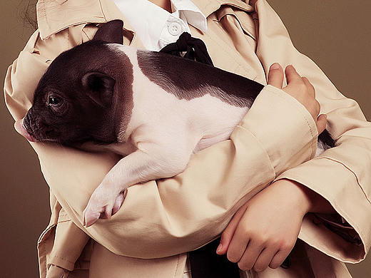 掌上明珠（个人主页-ZMzUxOTgwOTY=） - 人像摄影 - 站酷设计师弥休摄影美学馆原创素材 - 站酷ZCOOL