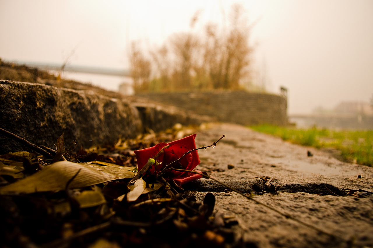 遗失在校园里的爱情（图ZMjU5NTcyOA==） - 风光摄影 - 站酷设计师穆青雨原创素材 - 站酷ZCOOL