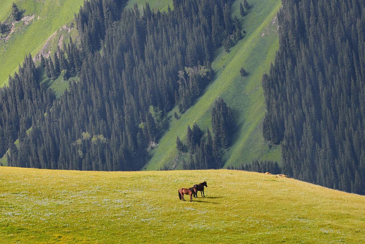 新疆（图ZODI4MzAyNzI=） - 风光摄影 - 站酷设计师翊yi18原创素材 - 站酷ZCOOL