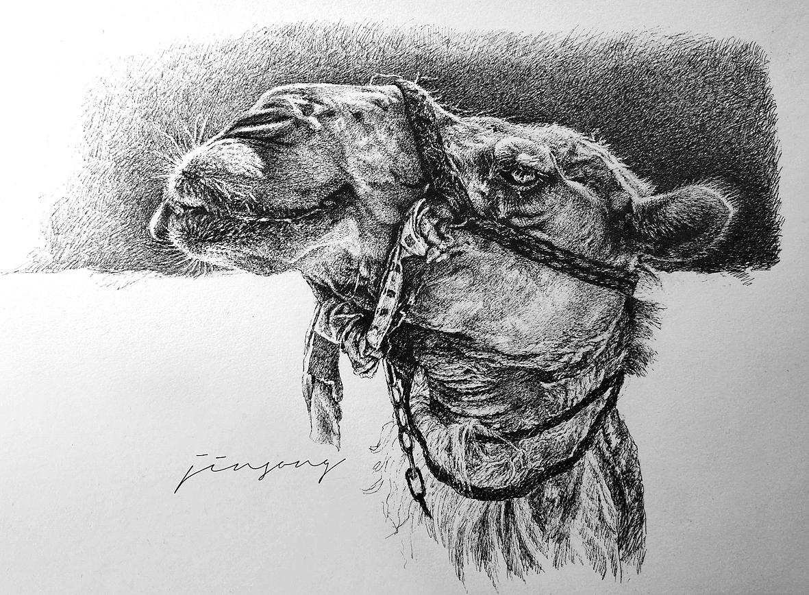 直播福利:钢笔画VS彩铅画,两个到底啥区别?