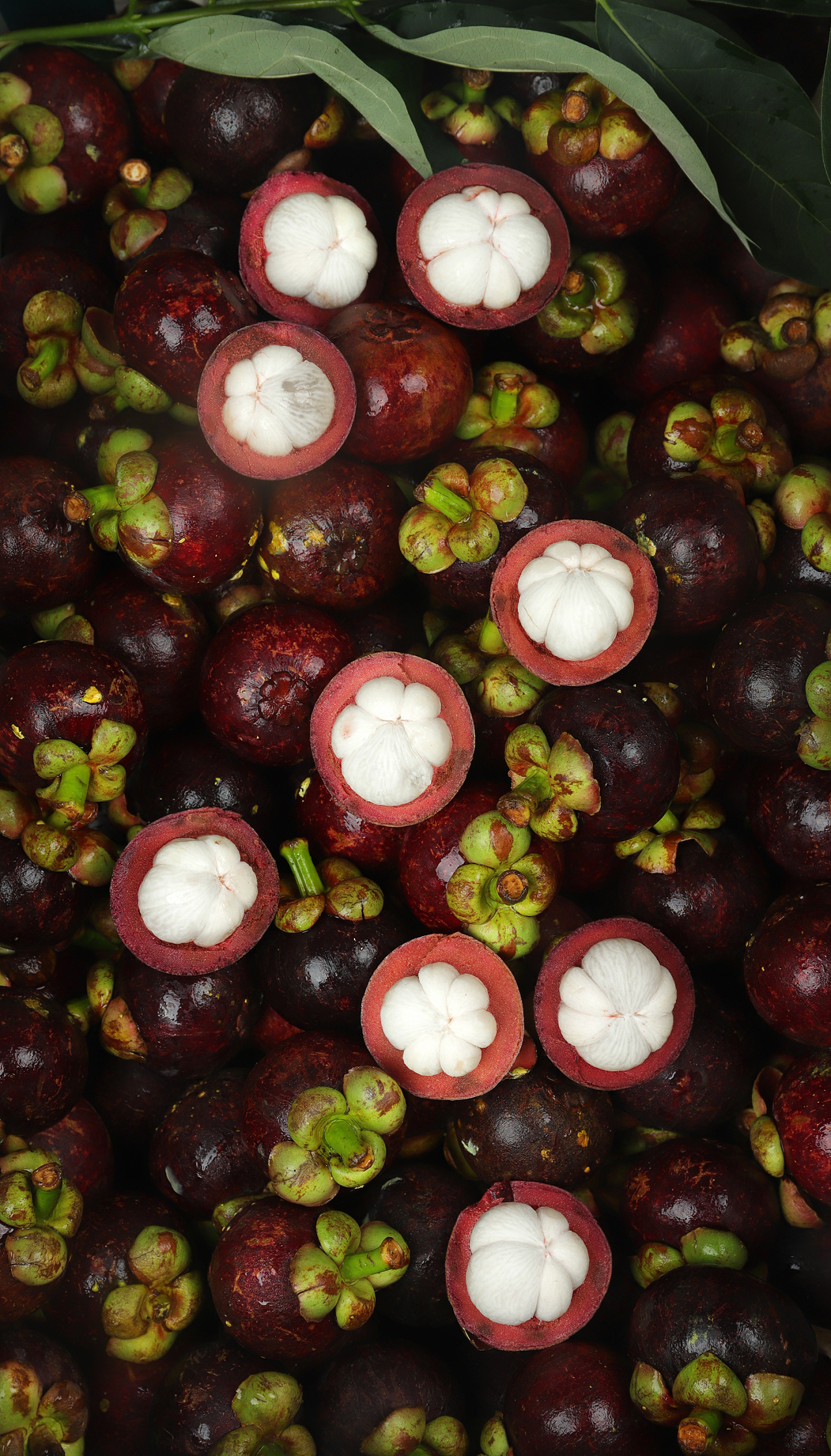 水果拍摄-泰国山竹