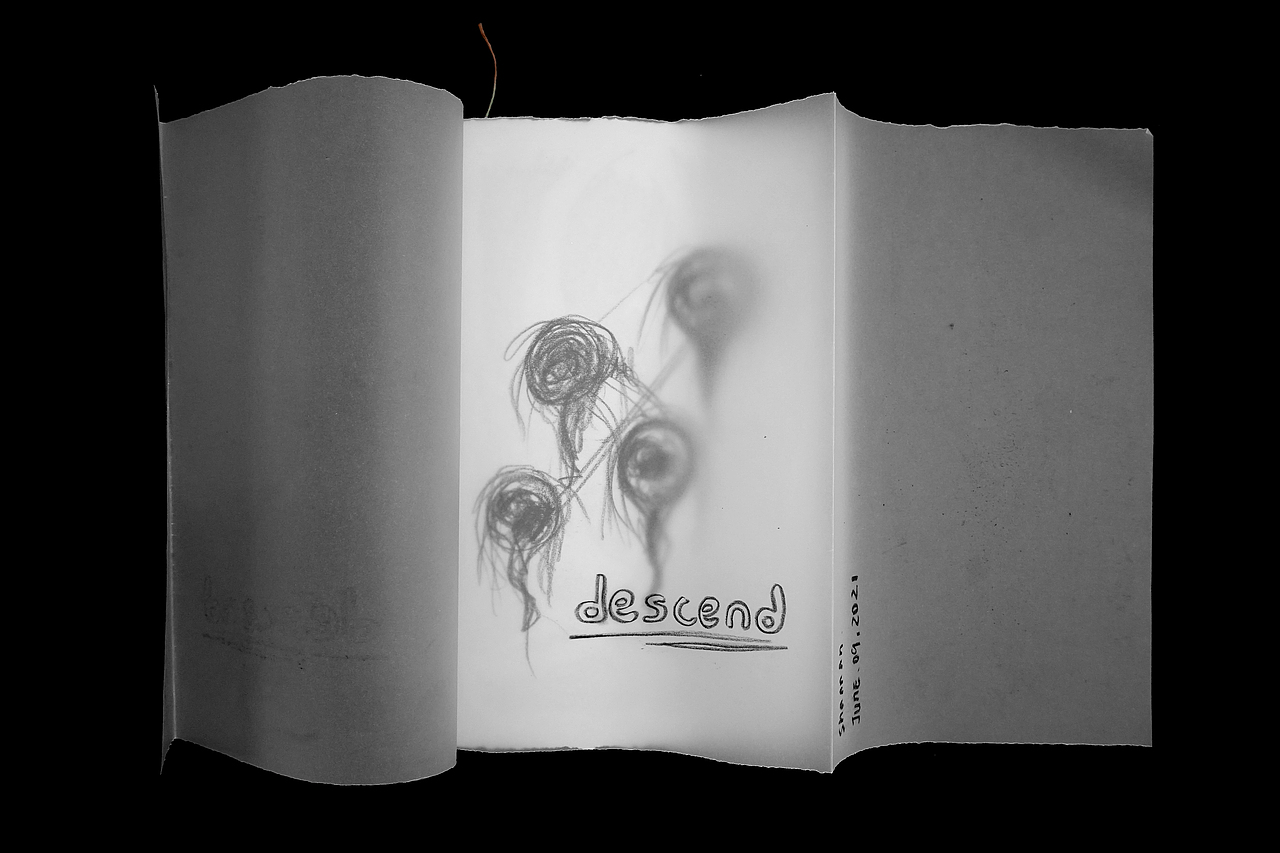 Decent 書籍制作和插畫（圖ZMjU5MTY5MjA4） - 藝術(shù)插畫 - 站酷設(shè)計(jì)師胡冠楠Shannan原創(chuàng)素材 - 站酷ZCOOL