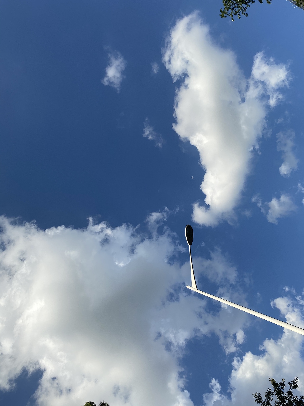 大学城南亭轮渡码头（图ZMjY1NjY0NjMy） - 风光摄影 - 站酷设计师小让让原创素材 - 站酷ZCOOL