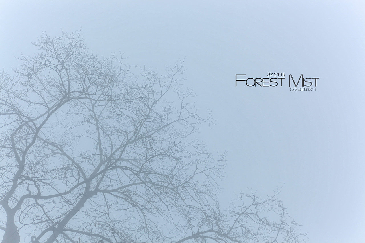 迷雾森林Forest Mist（图ZNDgyMDIwOA==） - 风光摄影 - 站酷设计师easycdad原创素材 - 站酷ZCOOL