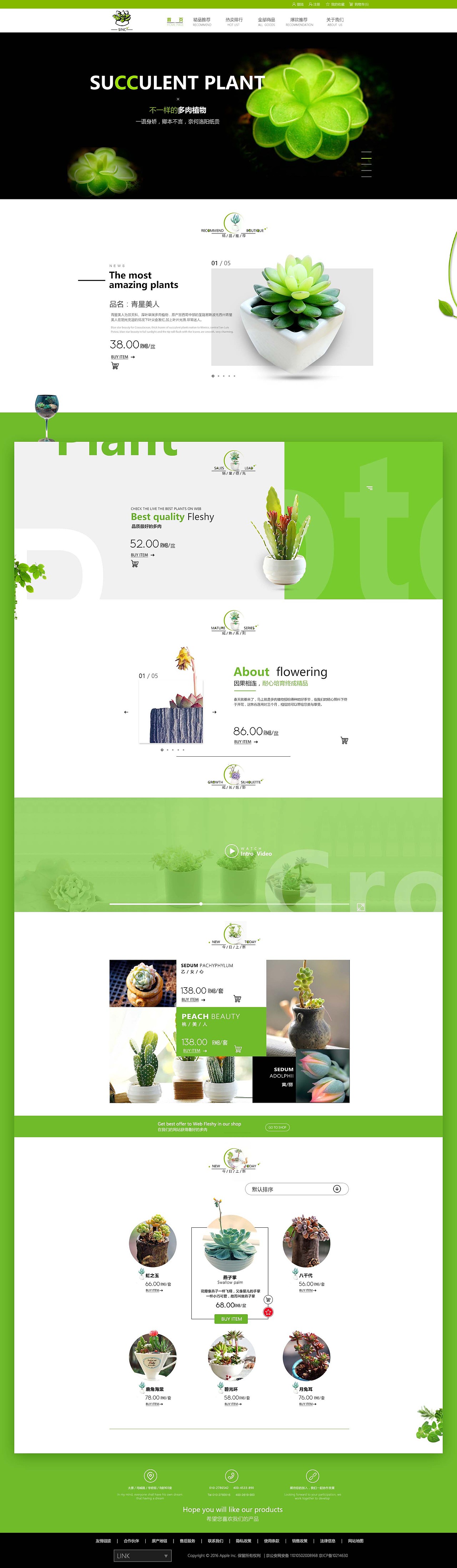 SINC 多肉电商网站设计