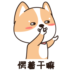 《柯基十一互怼篇》现已上线