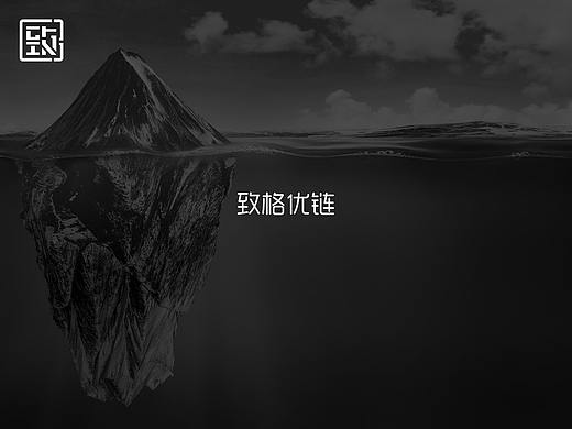 公司官网