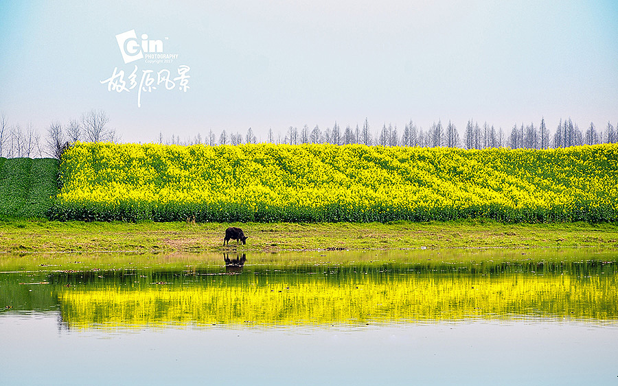 拍照 | 故乡原风景、（图ZMTAyMzUyODI0） - 风光摄影 - 站酷设计师琴酒小筑原创素材 - 站酷ZCOOL
