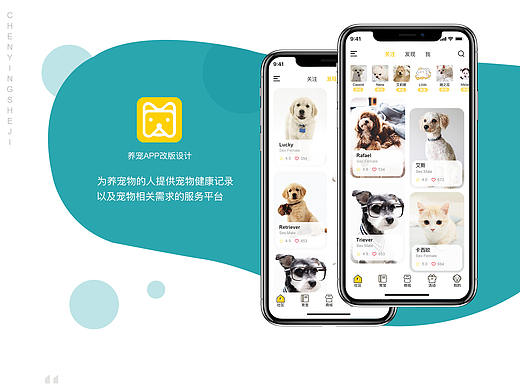 宠物APP改版设计