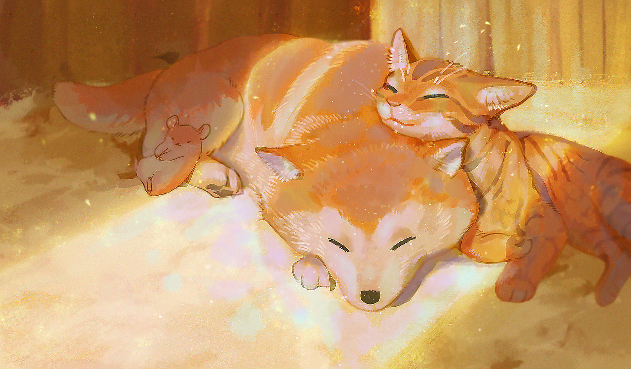 柴犬 X 橘猫 X 布丁（图ZMTk2MzQ2NTky） - 创作习作 - 站酷设计师眠雨fuyumiya原创素材 - 站酷ZCOOL