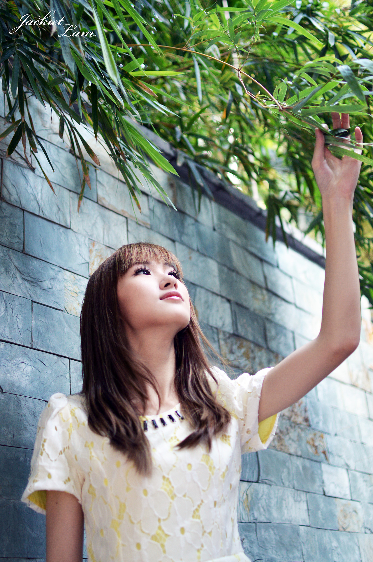 致当年的夏日记